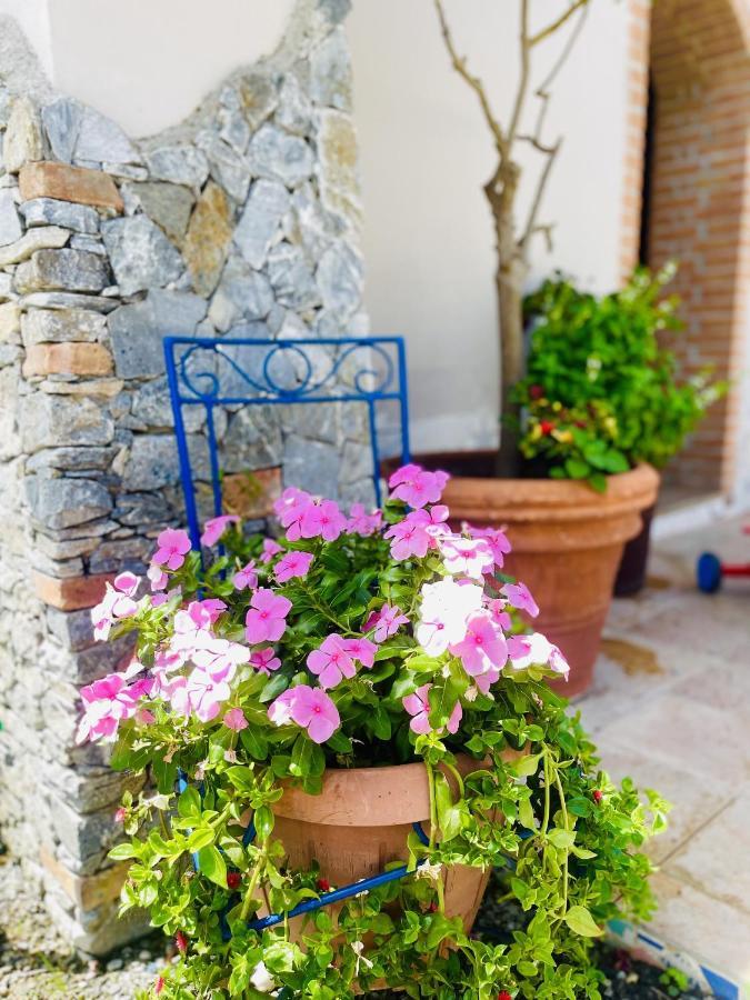 Borgo Camicia In Bed & Breakfast Barcellona-Pozzo di Gotto Ngoại thất bức ảnh